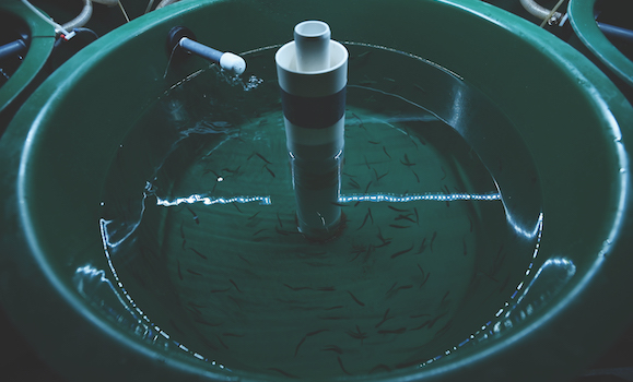 Aquatron makes waves in marine and climate research - Dal News ...